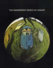 jaguar usa range brochure cover 1974